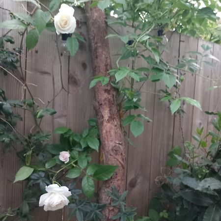Willa Waveney Belfast Zewnętrze zdjęcie